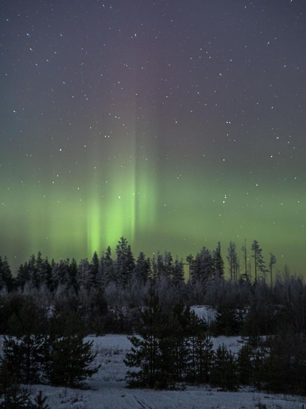 Северное сияние над заснеженным лесом запечатлели в Ленобласти