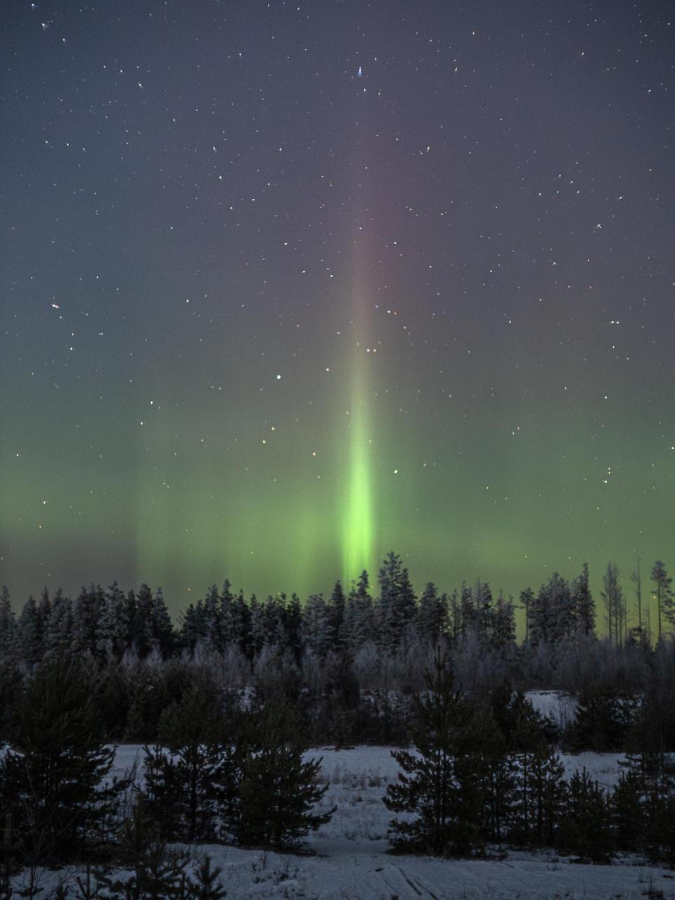 Северное сияние над заснеженным лесом запечатлели в Ленобласти Северное сияние над заснеженным лесом запечатлели в Ленобласти