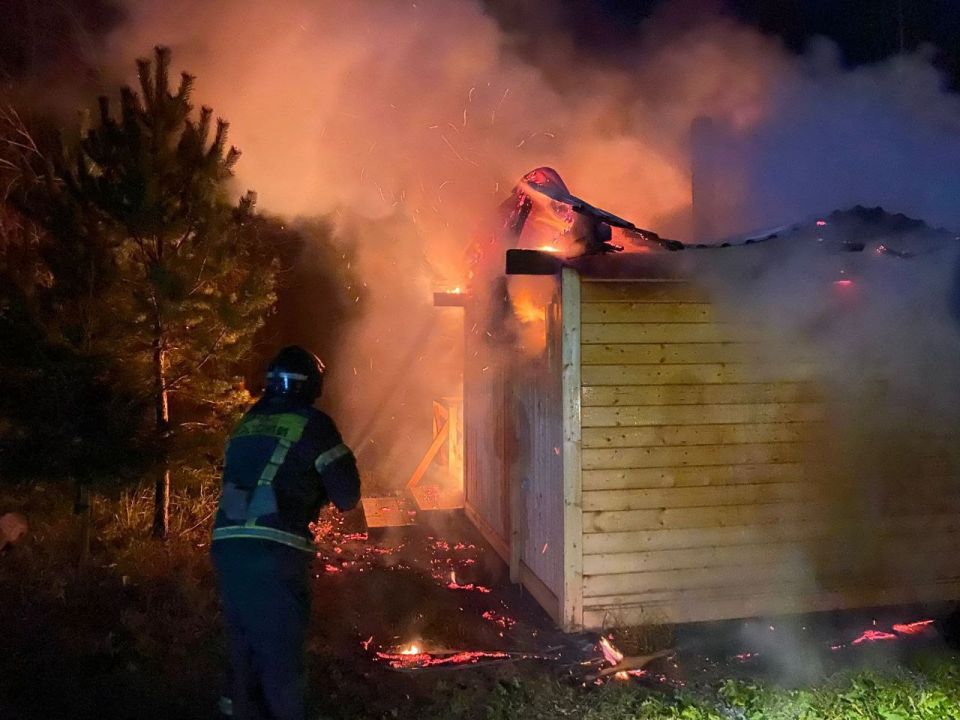 За прошедшие сутки подразделения территориального пожарно-спасательного гарнизона Ленинградской области реагировали на 10 оперативных событий: