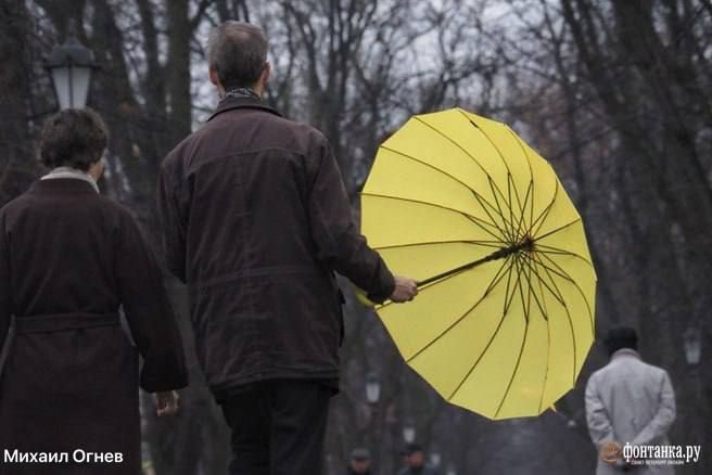 Темно-серое небо продолжит нависать над Петербургом и в последний выходной ноября