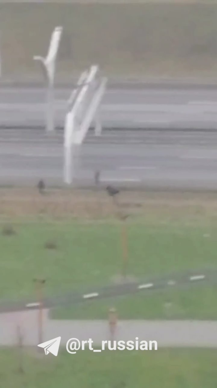 Более 30 подростков увезли в полицию Петербурга: они перебегали трассу, сорвали токоприёмник с крыши троллейбуса и залезали на столбы