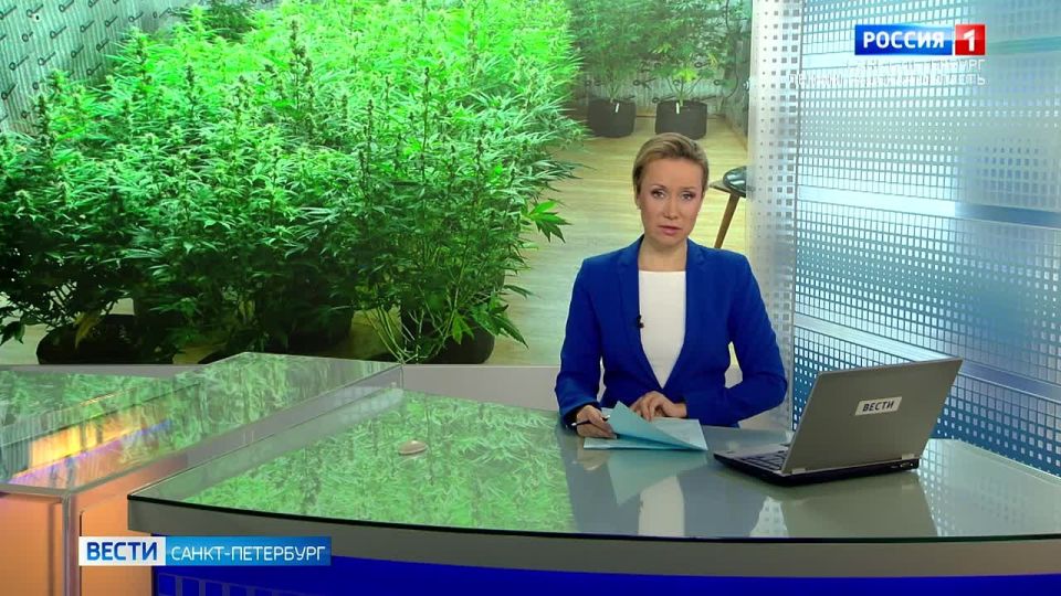 Оперативники задержали распространителей запрещенных веществ