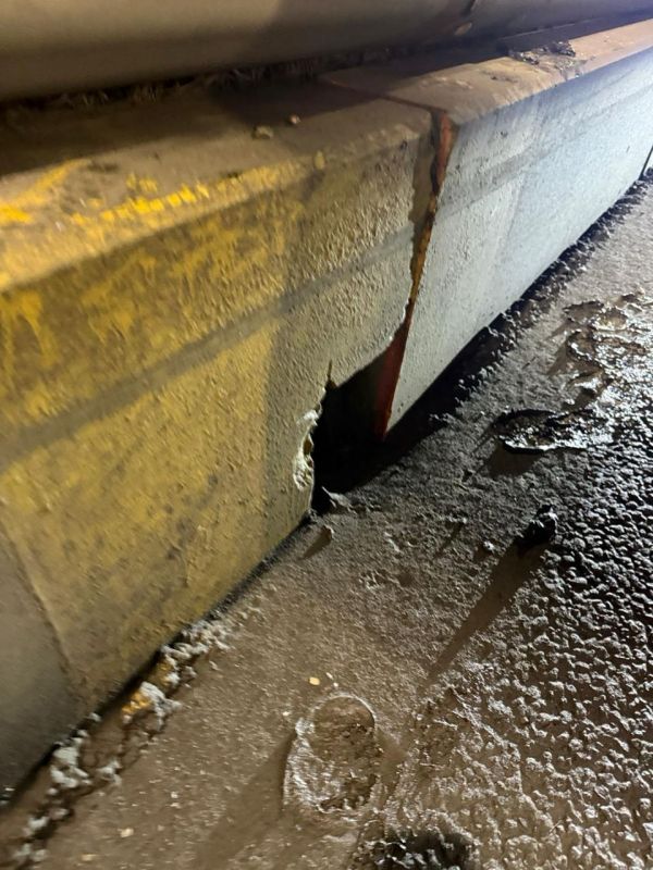 Спасатели вызволили котенка из ливневой канализации на набережной в Петербурге