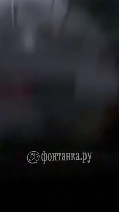 Шедший из Петербурга в Москву «Сапсан» застрял в Ленобласти