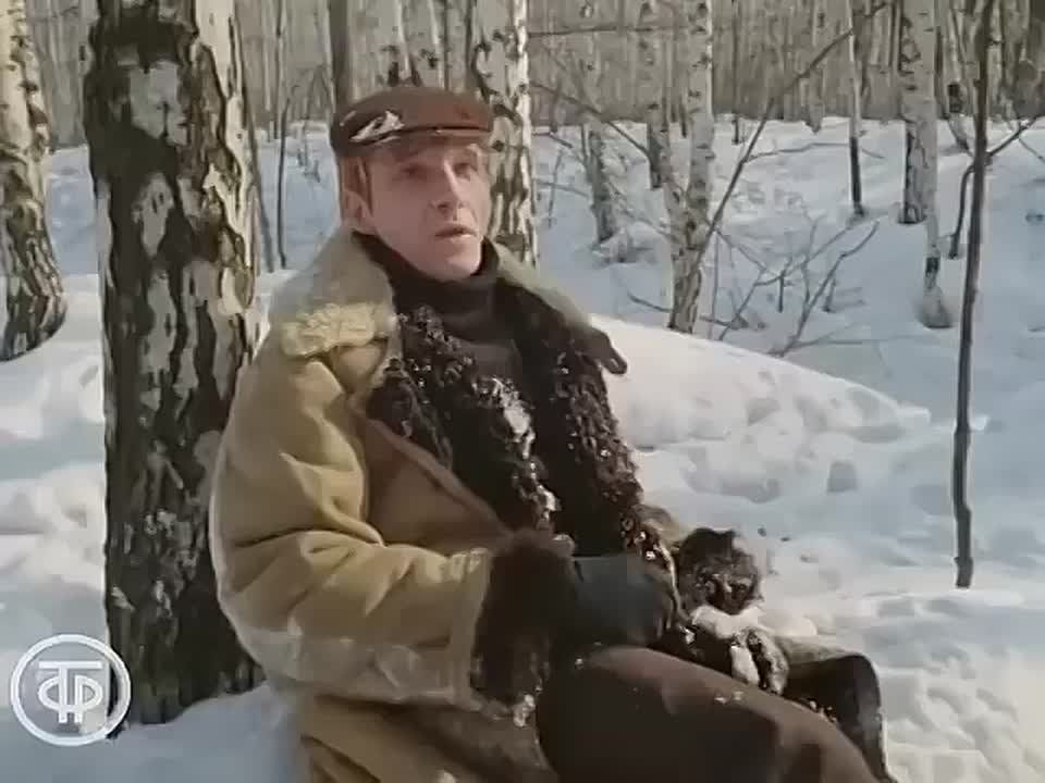 Вечернее музыкальное настроение от ЛенТВ24