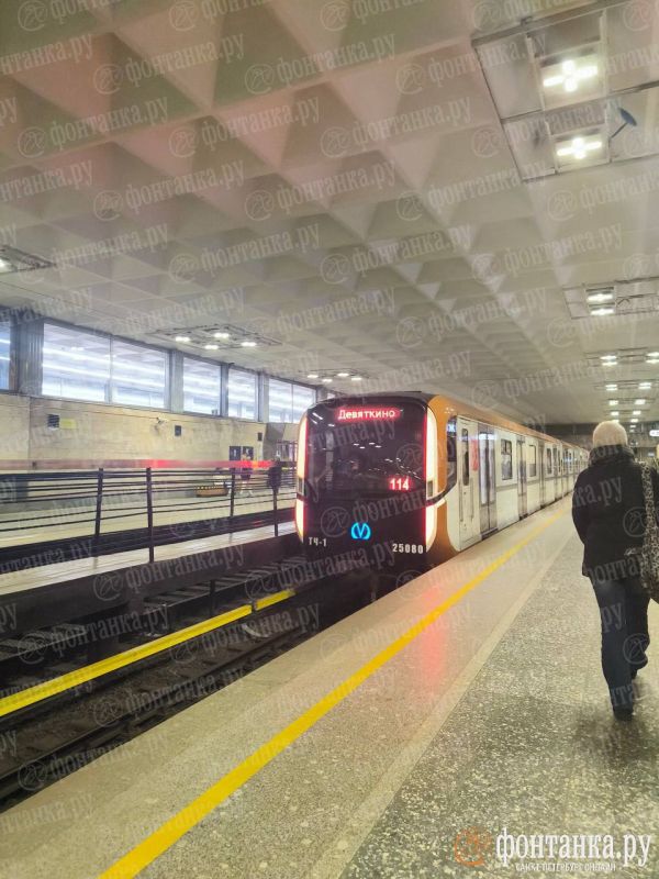 Петербуржцев продолжают удивлять коричневые «Балтийцы» на красной ветке метро