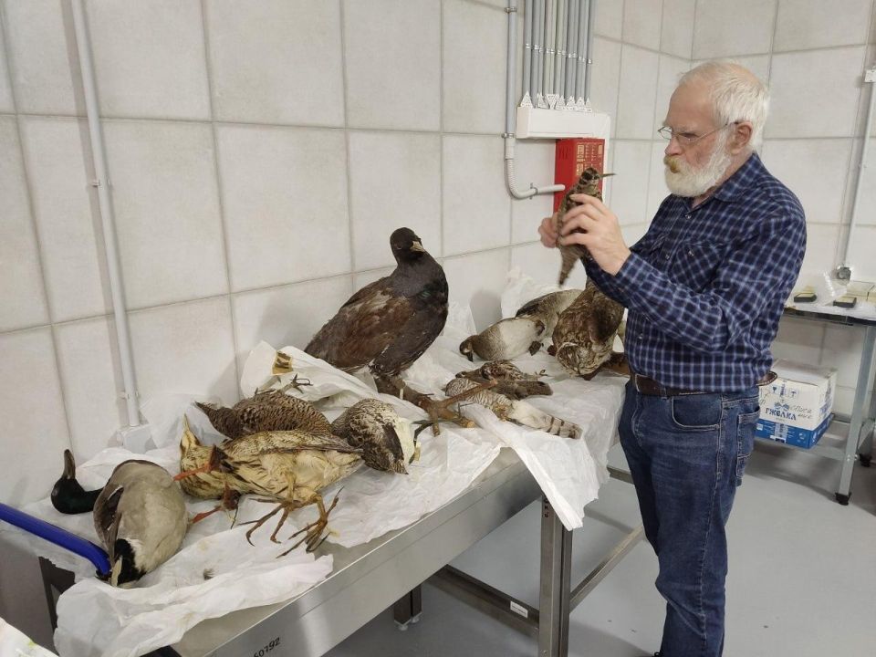 Экспонаты Лужского краеведческого музея отправятся на реставрацию