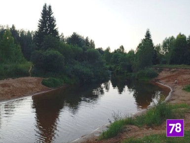 Дрозденко отозвал разрешение на разработку новых песчаных карьеров около посёлка Шапки в Ленобласти