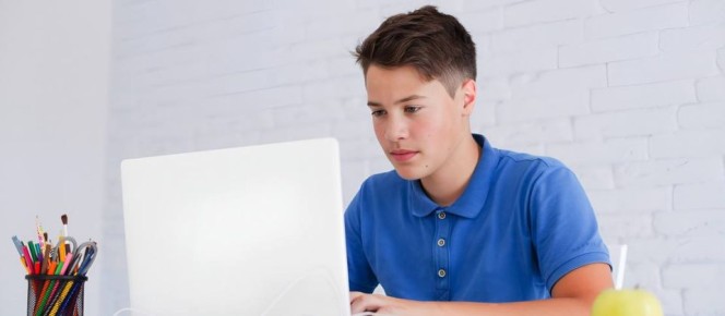 ШКОЛЬНИКОВ АТАКУЮТ ЧЕРЕЗ ПОДДЕЛЬНЫЕ «КАБИНЕТЫ УЧАЩЕГОСЯ»