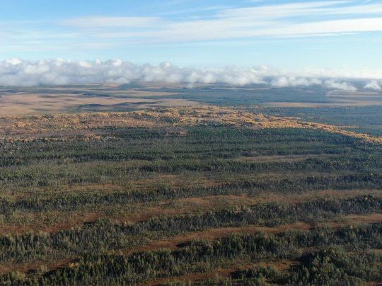 Как по линейке. Удивительное зрелище открывается, если подняться над поверхностью земли