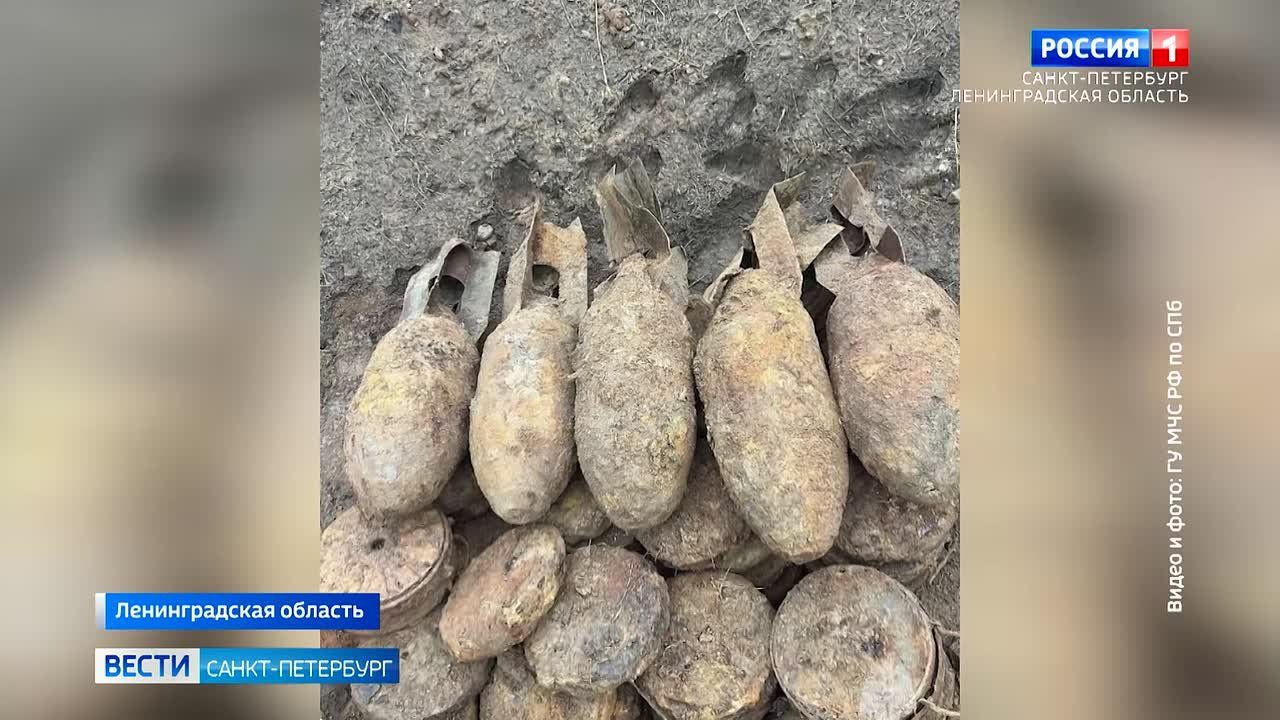 В Тосненском районе обезвредили авиабомбы и противотанковые мины времен ВОВ