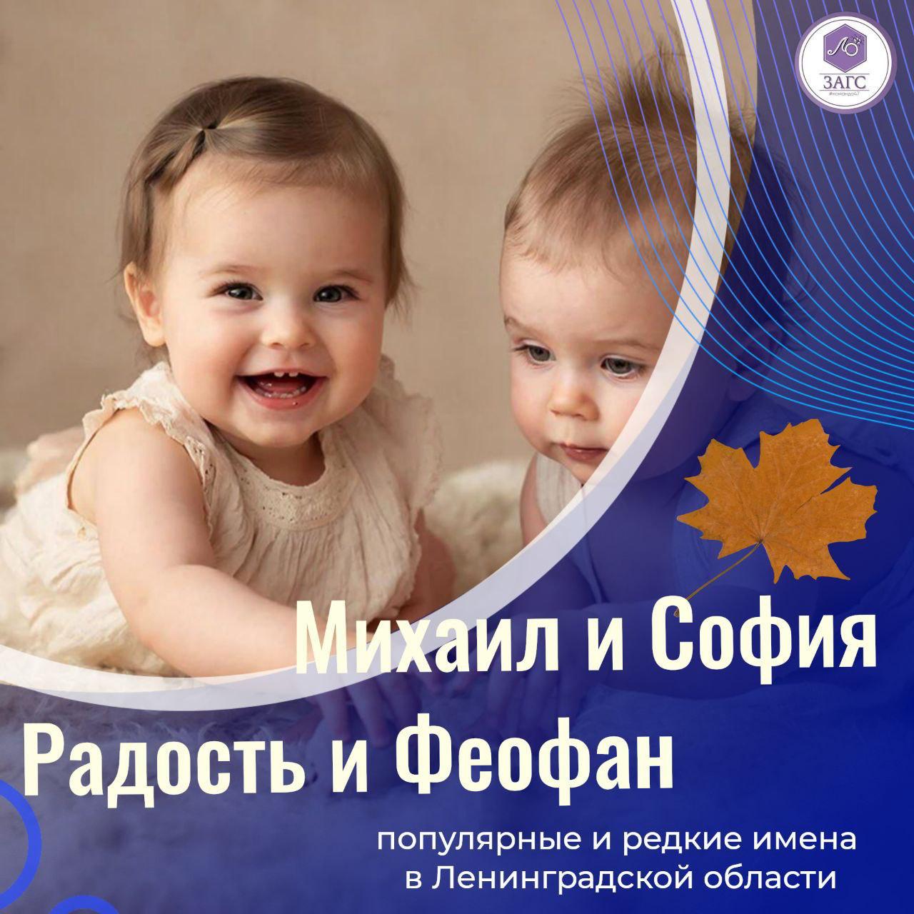 Михаил и София стали самыми популярными именами для новорожденных в Ленобласти