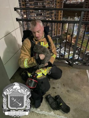 Пожарные потушили возгорание и спасли кота в Мурино