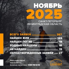За ноябрь волонтеры нашли в Петербурге и Ленобласти почти 200 пропавших