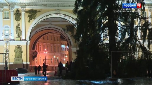 Главную новогоднюю ель Петербурга доставили на Дворцовую площадь