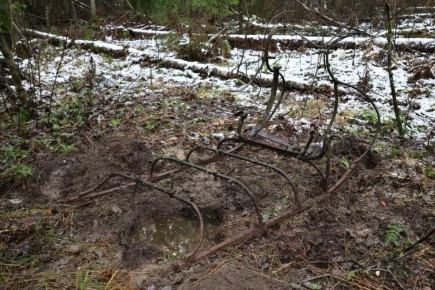В районе Путилово нашли сани времен Великой Отечественной войны