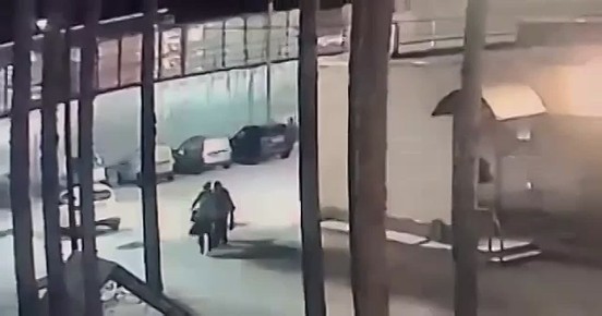 В Луге женщина ударила собаку о землю