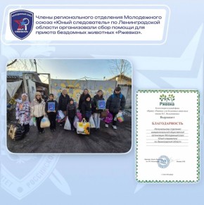 Члены регионального отделения Молодежного союза «Юный следователь» по Ленинградской области организовали сбор помощи для приюта бездомных животных «Ржевка»