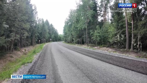 В Ленобласти презентовали новую технологию ремонта дорог - чипсилинг