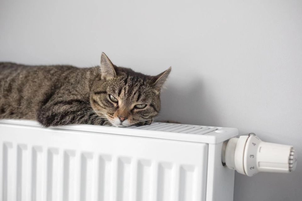 200 ���� �������: ������ ����������� ���� ����� �����, ��� ������