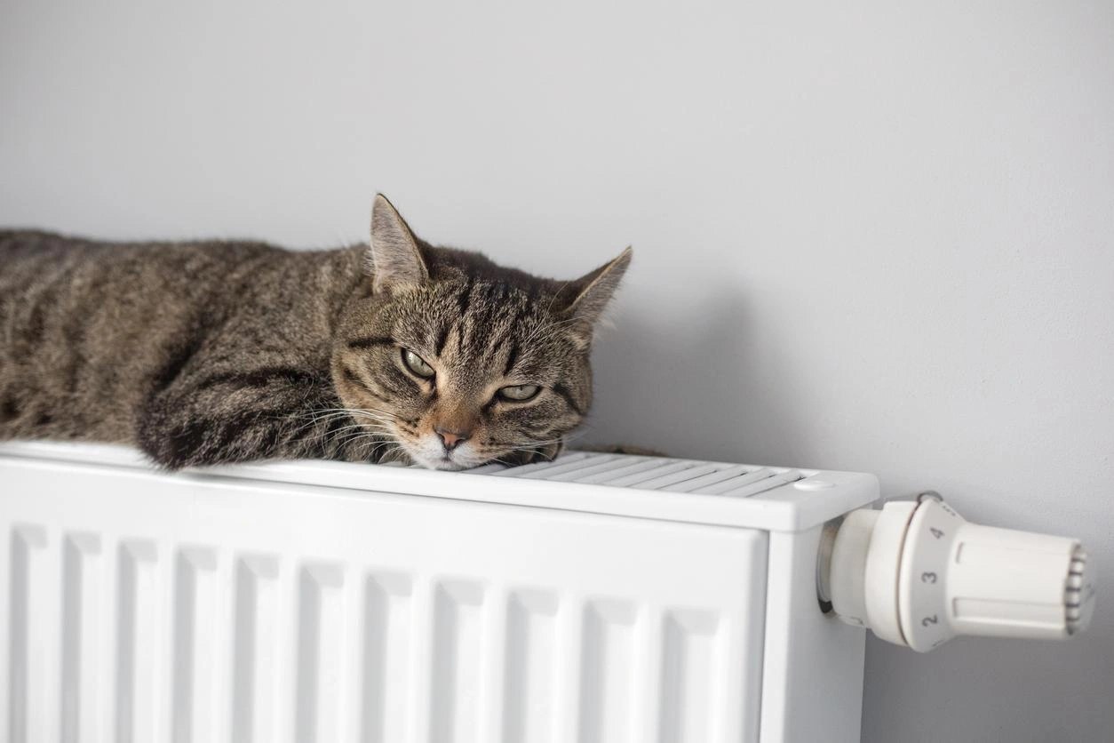 200 дней холодов: почему современные дома греют лучше, чем раньше