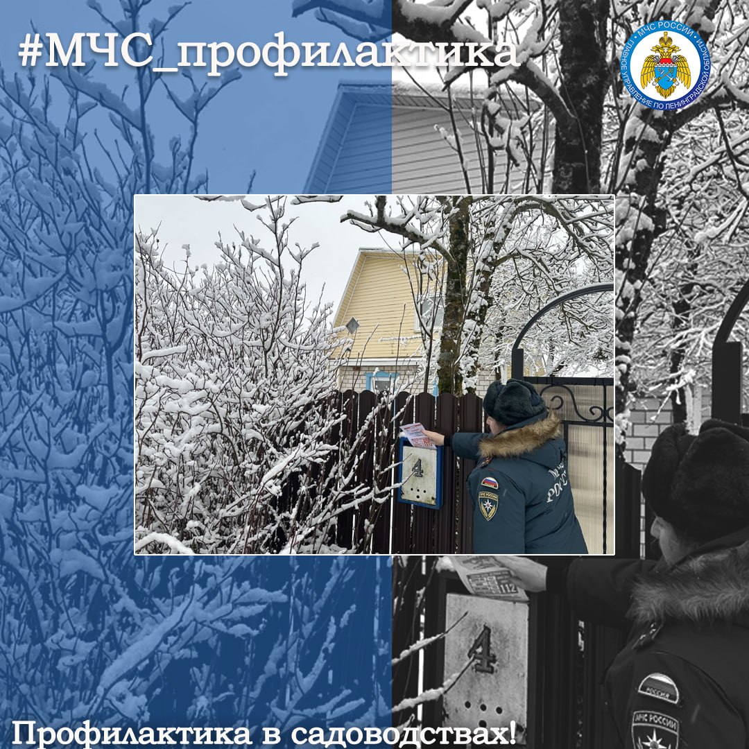 Профилактика в садоводствах