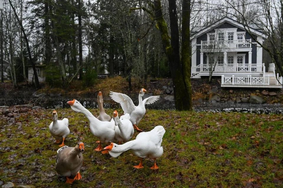 ��������� ��������� ��������� � ���������� ������� ��������