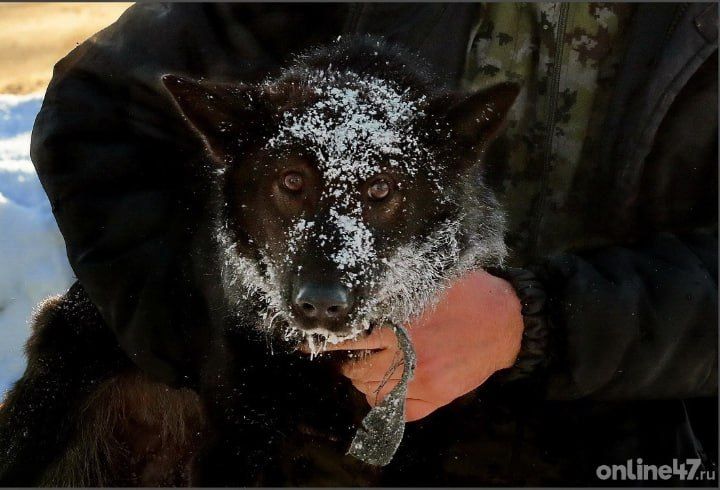 ������������� ����������� �������� ����������� ����� 75 ����� �������� ����� � ����� �� ���������