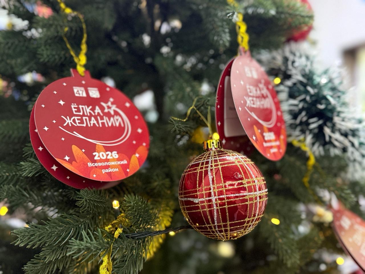 Во Всеволожском районе стартовала «Елка желаний» Во Всеволожском районе стартовала «Елка желаний»