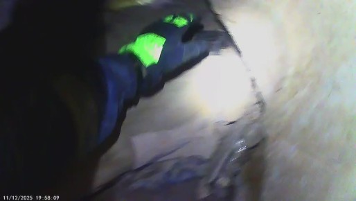 В поселке Сиверский спасли пять новорожденных котят