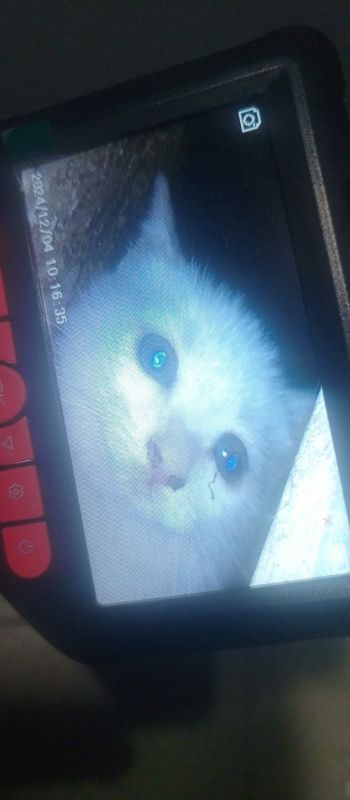 � ��������� ������ �������, ������������ � ����� ������� ��� ���