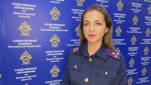 Комментарий старшего помощника руководителя СУ СК России по Ленинградской области (по информационному взаимодействию с общественностью и СМИ)