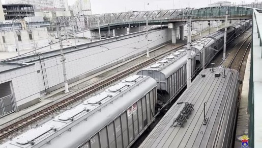 На Ладожском вокзале задержали жителя Тюмени с крупной партией гашиша