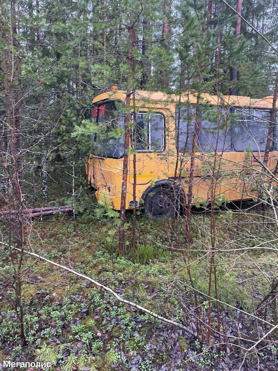 Школьный автобус оказался в кювете на маршруте Приморск — Красная Долина Школьный автобус оказался в кювете на маршруте Приморск — Красная Долина