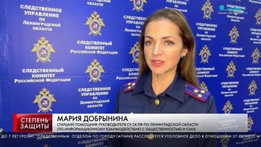 Сюжет в программе "Степень защиты" на телеканале "Санкт-Петербург" о заключении под стражу местного жителя 1988 года рождения, обвиняемого в истязании 6-летнего ребёнка в городе Гатчине