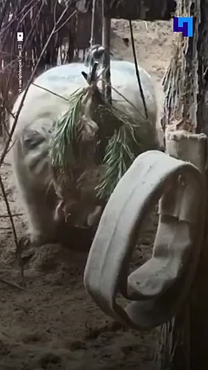 ����� �� ����������: � ������������� ������� ����� ������� �� ��������