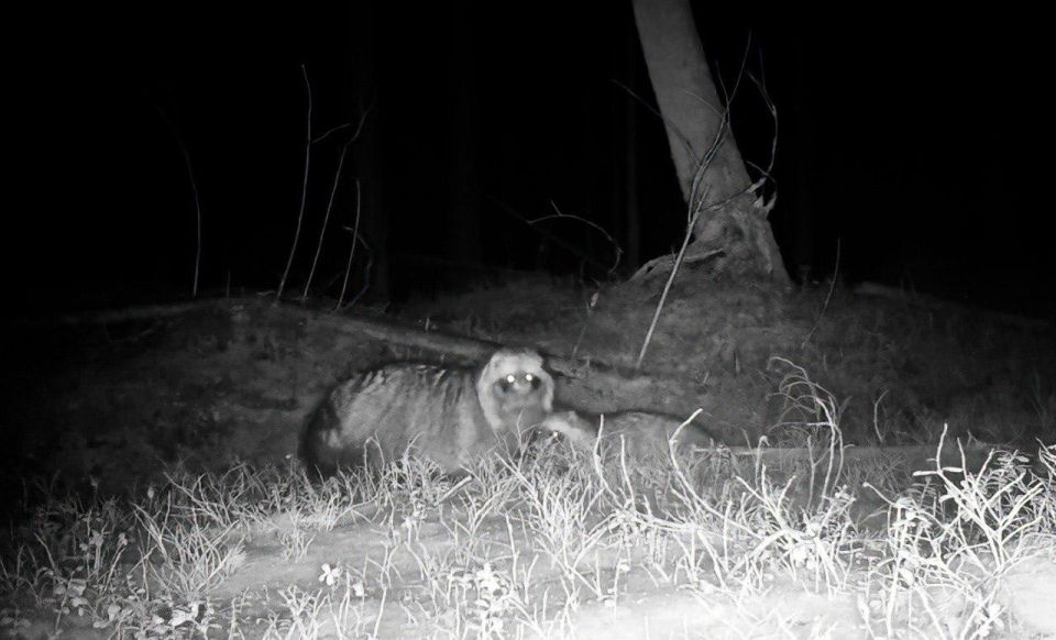 ����������� ������ �� ������ ������� � ������ � ���� ����������