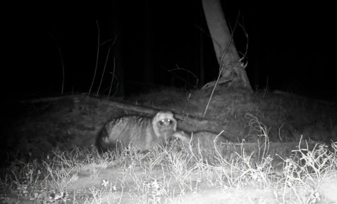 ����������� ������ �� ������ ������� � ������ � ���� ����������