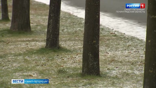 В Петербург пришло похолодание