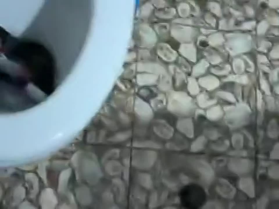 ����������� ��������� �� ���������� � �������������, � ����� � ���� ����� ��������