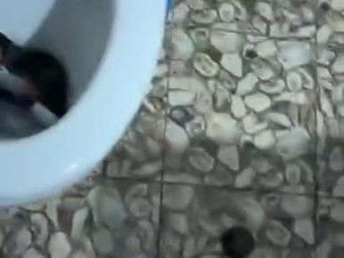 ����������� ��������� �� ���������� � �������������, � ����� � ���� ����� ��������