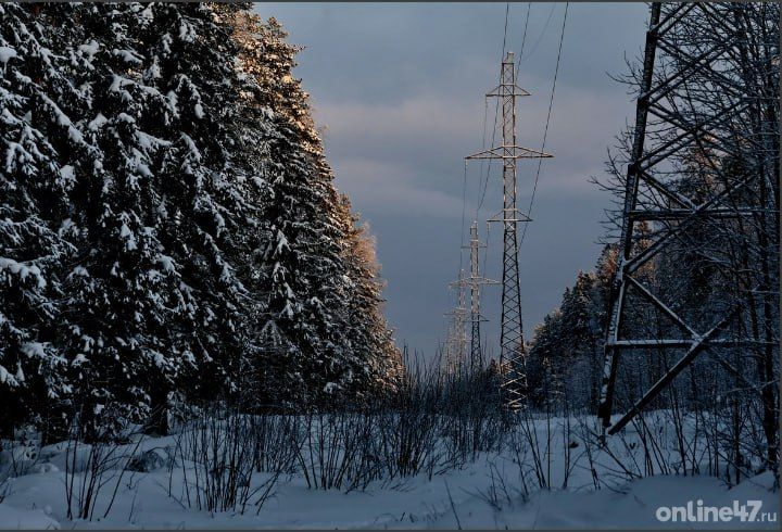 ��� ����� � � ������� ������: ��� ��������-�������������� �������� ���������� ��������� 2025 ���