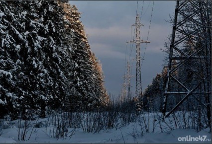 ��� ����� � � ������� ������: ��� ��������-�������������� �������� ���������� ��������� 2025 ���