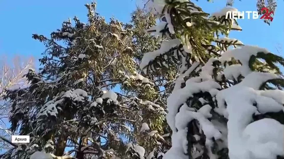 �� ����������� ������ ���� �������� ��������� ���, � ��� ������, ��� ��� ���� ���������� �� ������ ��� ��������� ��� ���� � ���������� �� ����, �� � ������� ������