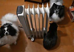 ������ ������ ����� � ������� ���� ������� ����� � �����������