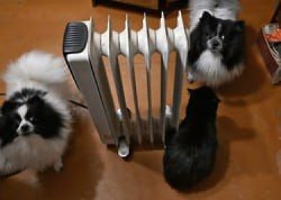 ������ ������ ����� � ������� ���� ������� ����� � �����������