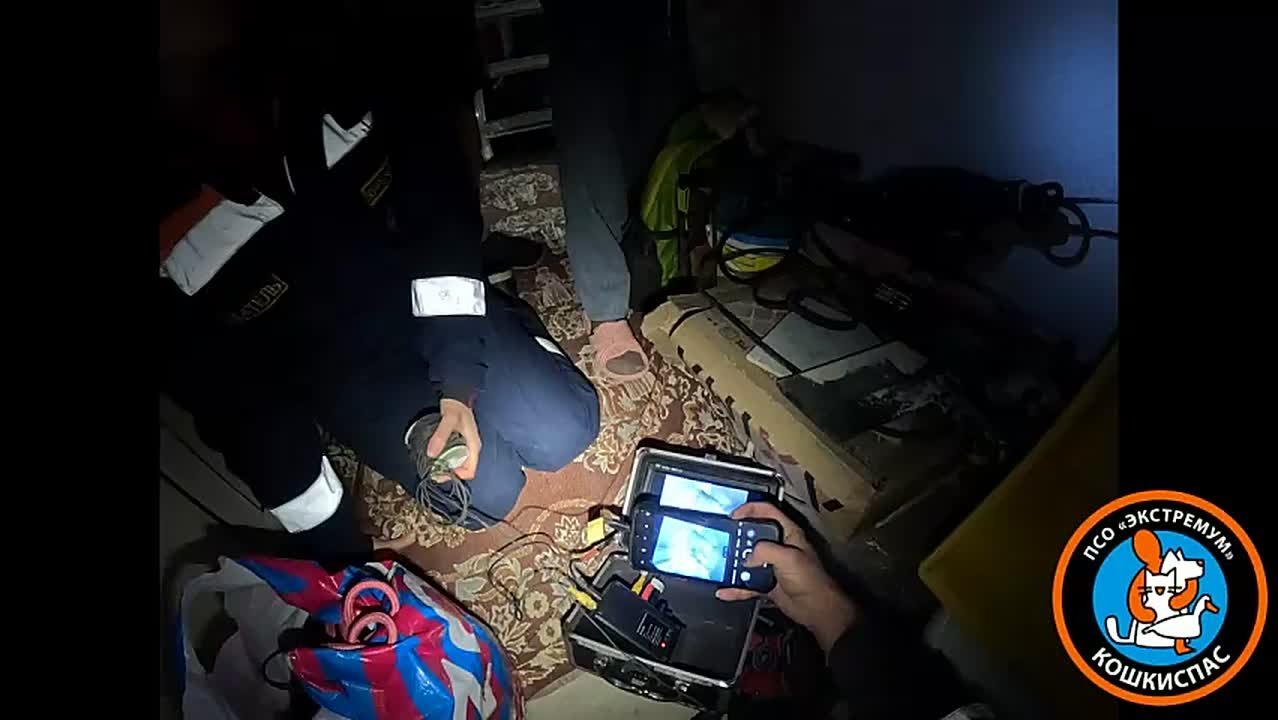 «Кошкиспас» вызволил кошку, провалившуюся в обшивку балкона в Янино