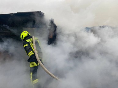 �� ��������� ����� ������������� ���������������� �������-������������� ��������� ������������� ������� ����������� �� 12 ����������� �������: