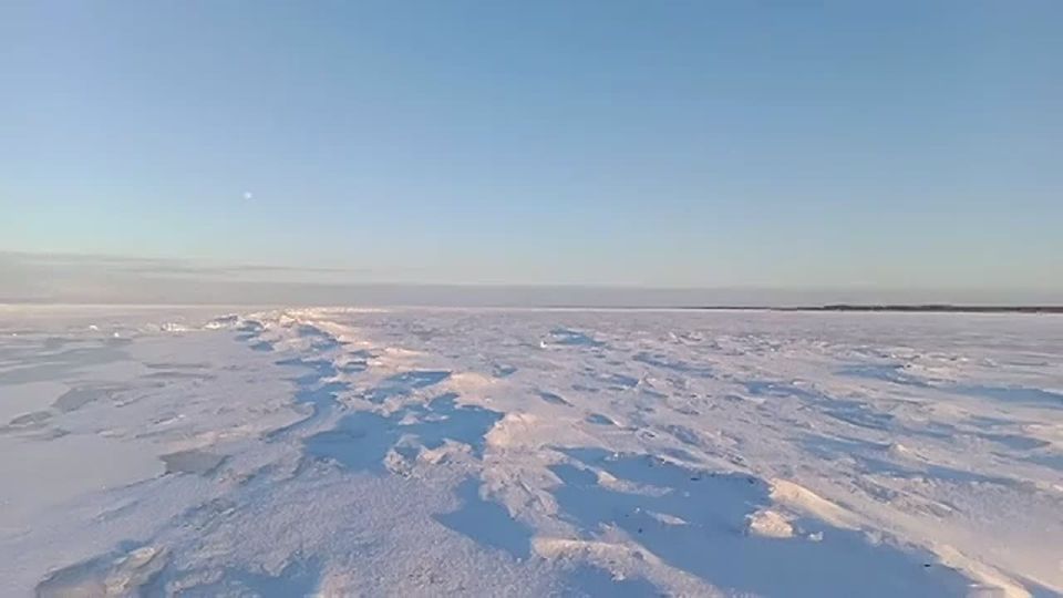 ��������� ������ 2026 ��� � ������ �� ��������� � ���������������� �����