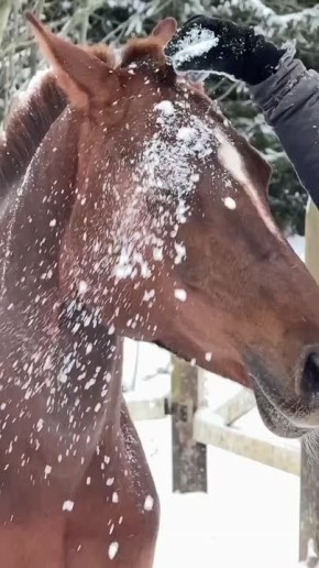 �������� � ����� ��� ����� � ��������� ��� ��������, �������� �������� ������������ ������,��������� ������������� ������������ �� �������������� ������